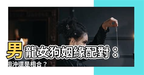 男龍女狗